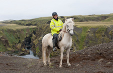 Iceland-East and South-Icelandic Farmlands